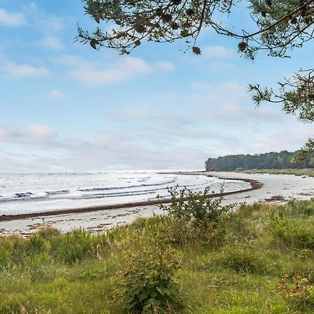 Villa Nattergalen Snogebæk Esterno foto